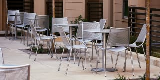 Evolution at Towne Centre Gallery 7