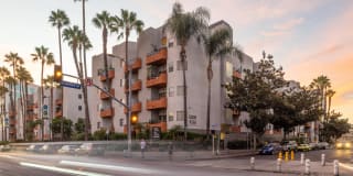 Academy Village Gallery 2