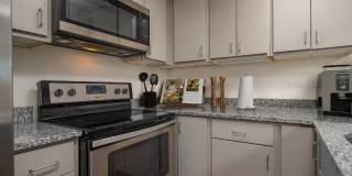 Terra at Enchanted Hills Gallery 2