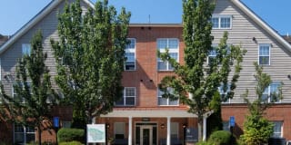 Avalon Acton Gallery 41