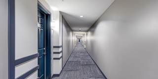 Paraiso at Fountain Square Gallery 29