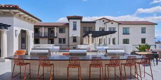 Vineyards Gallery 65