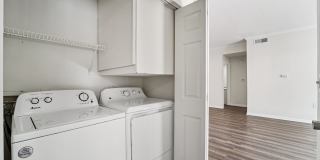 Derby at Steeplechase Gallery 31