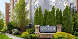 Avalon Natick Gallery 40