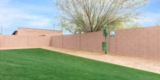 Metro Tucson Gallery 43