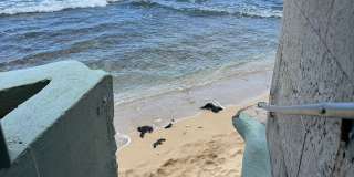 Gold Coast, Tropic Seas - 2BR/2BA/Street Parking Only Gallery 28