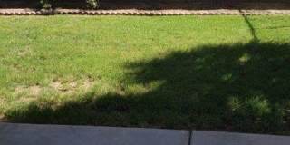 GREAT NORTH PHOENIX HOME WITH POOL! Gallery 15