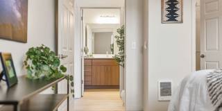 Meritum Evergreen Gallery 7