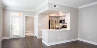 Las Palmas Gallery 14