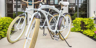 Alcove at Alamo Heights Gallery 26