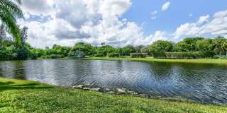 11073 Harbour Springs Circle Gallery 47