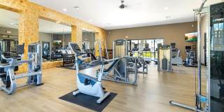 Olympus Alameda Gallery 31