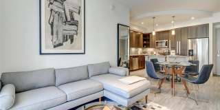 Pearl at Flagler Village Gallery 16