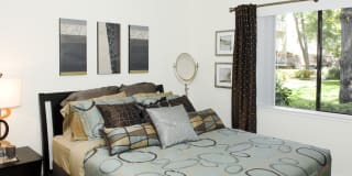 Avalon Mountain View Gallery 14