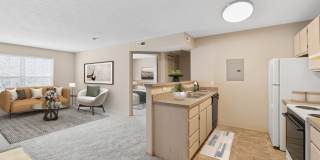 Sharon Glen Gallery 2