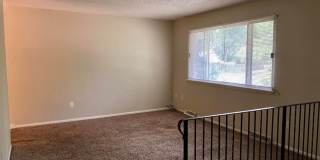 Cute House with Amazing Yard! Gallery 4