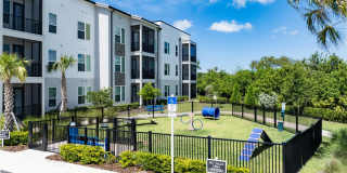Mira at Palmer Ranch - 55+ Senior Living Community Gallery 59