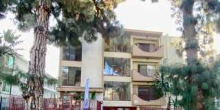 7010 Lanewood Avenue LLC Gallery 33