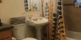 1261 W Loyola AveApt 3 Gallery 7