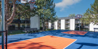 Vine at Panorama Gallery 21