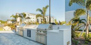 Madison Grove Gallery 12