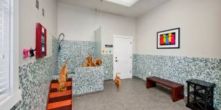 Bexley Village at Concord Mills Gallery 5