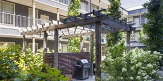 Thrive Argenta Gallery 44