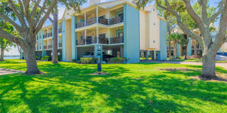 Pirates Landing Gallery 50