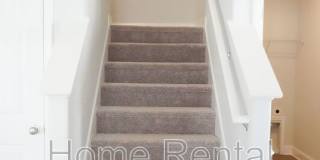 25 Sago Palm Way Gallery 28