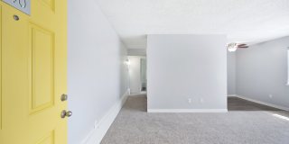 The Canopy Gallery 18