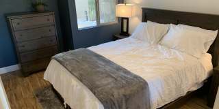 7344 N VIA CAMELLO DEL NORTE Gallery 23