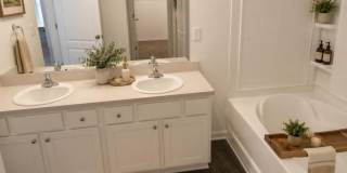 12774 CACAO TREE Trail Gallery 9