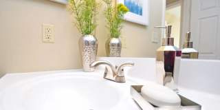 Pavilion Lakes Apartments Gallery 7