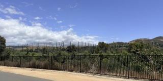 32083 Paseo Vibrantre Gallery 29