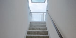 Magnolia at West Lemmon Gallery 10