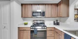 La Serena at the Parque Gallery 6