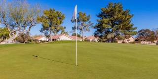 15138 W Las Brizas LN Gallery 26