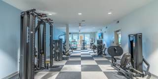 Lake Saunders Reserve Gallery 17