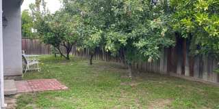 3br/2ba Home on corner lot Gallery 43