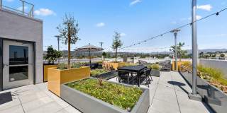 The Elinor Gallery 26