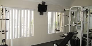 Oaks Gallery 28