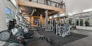 The Mercury Gallery 5