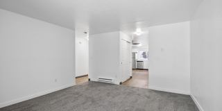 The Lucent Gallery 43