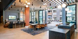 The Tolman Gallery 15