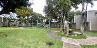 Mililani Terrace Gallery 13