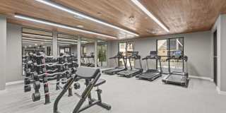 The Brentwood Gallery 16