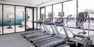 The Loden Gallery 21