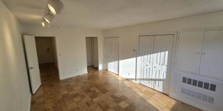 77 Pond Ave. Gallery 4