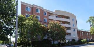 242 Maple Avenue Gallery 1