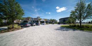 Alta Citron Gallery 10